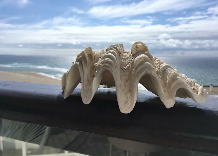 Salty House - Casa Salgada Apartment Foz do Arelho