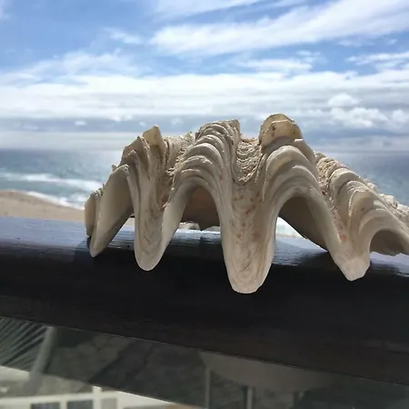 Salty House - Casa Salgada Апартаменты Фош-ду-Арелью